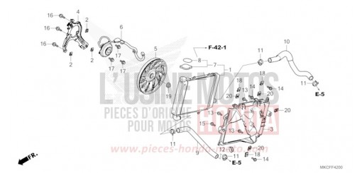RADIATOR (R.) GL1800DAN de 2022
